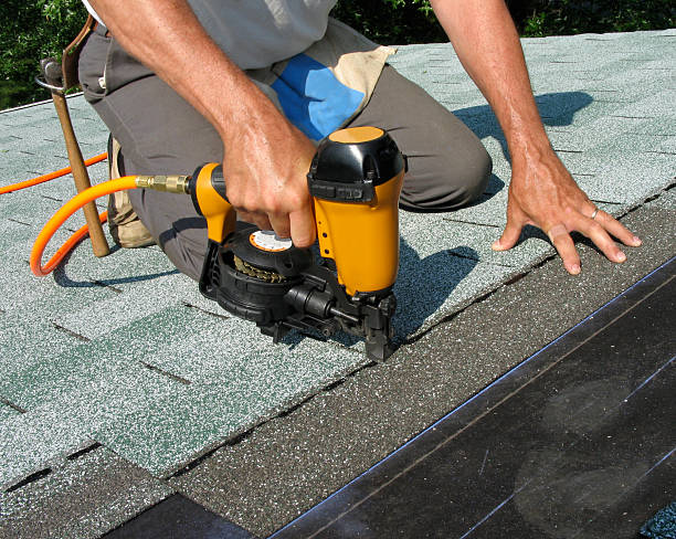 Best Roof Gutter Cleaning  in Young Harris, GA
