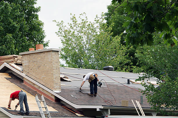 Best Roof Leak Repair  in Young Harris, GA
