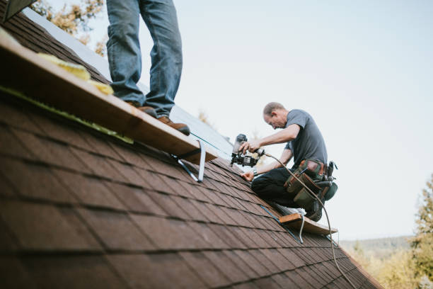 Best Gutter Installation and Roofing  in Young Harris, GA