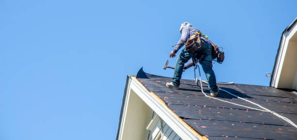 Best Roof Maintenance Services  in Young Harris, GA